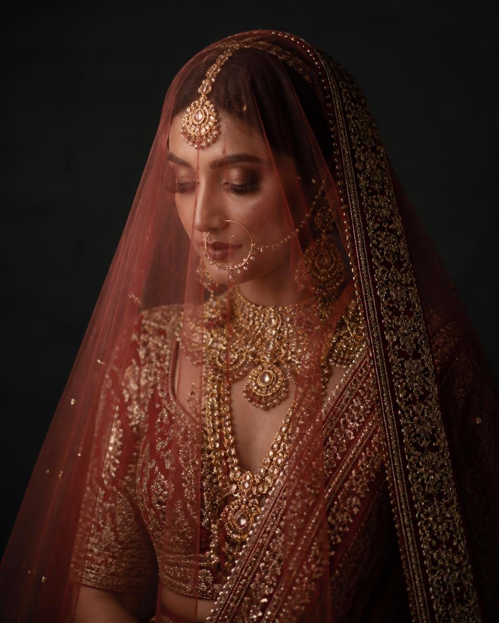 Bridal portrait framed by an embroidered veil
