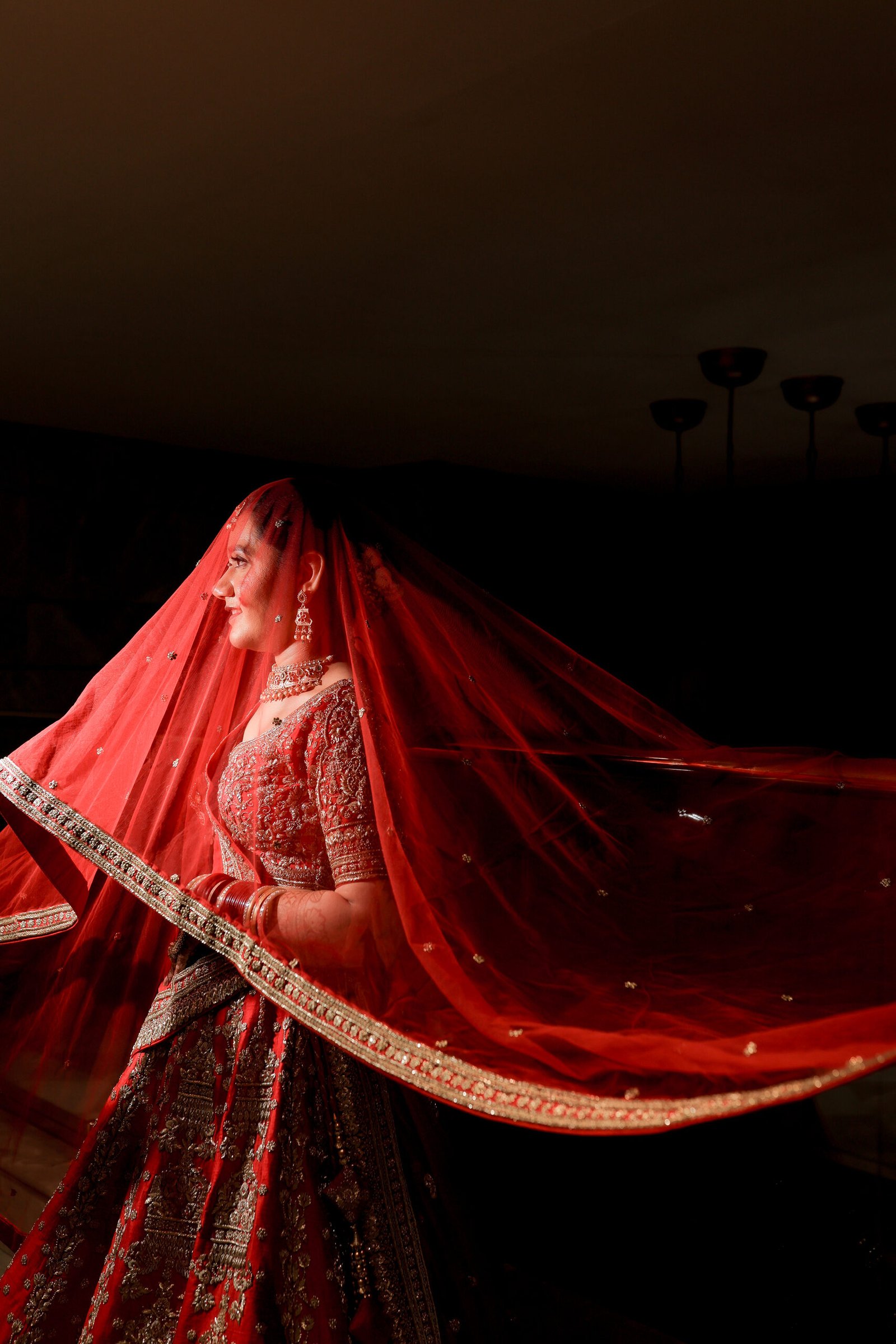 Love & Shraddha · Bridal Portraits — wedding photograph by The Silver Frame Studio