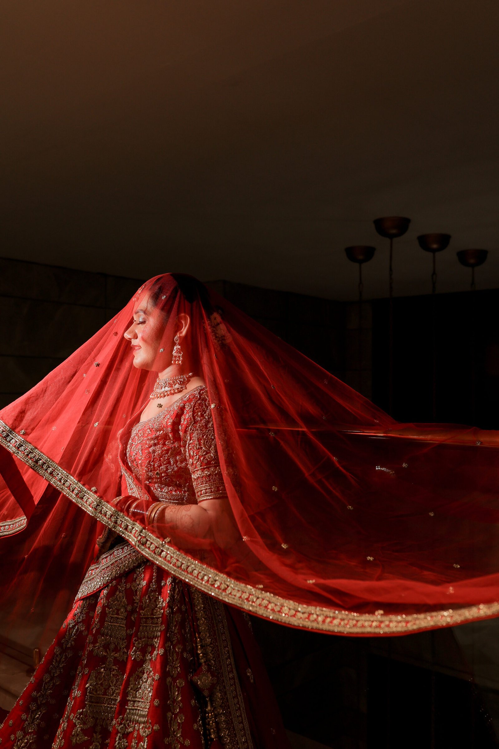 Love & Shraddha · Bridal Portraits — wedding photograph by The Silver Frame Studio